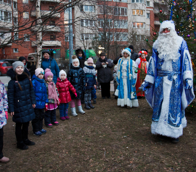 Празднование нового года 2020